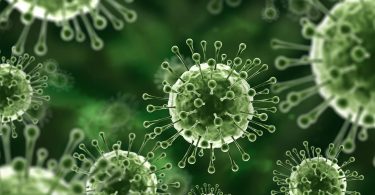 ВООЗ заявила про можливість пандемії через вірус Nipah
