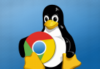 Google Linux